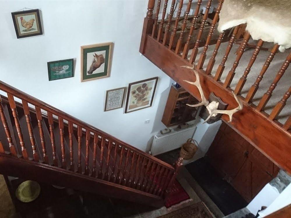 Bed and Breakfast Middle Mill Kidwelly Zewnętrze zdjęcie